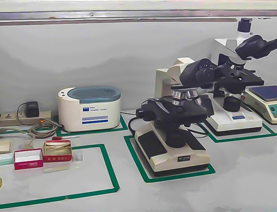 Research & Development Strength