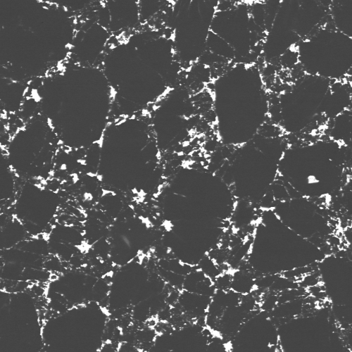 PCD Dies Big Grain Size